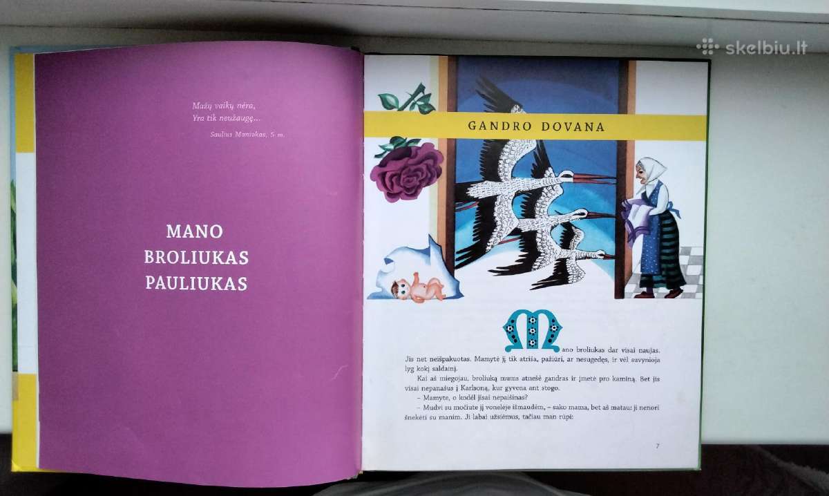 Vyt. Petkevičius. Kodėlčius. 2013 m. leid. - nuotraukos Nr. 4