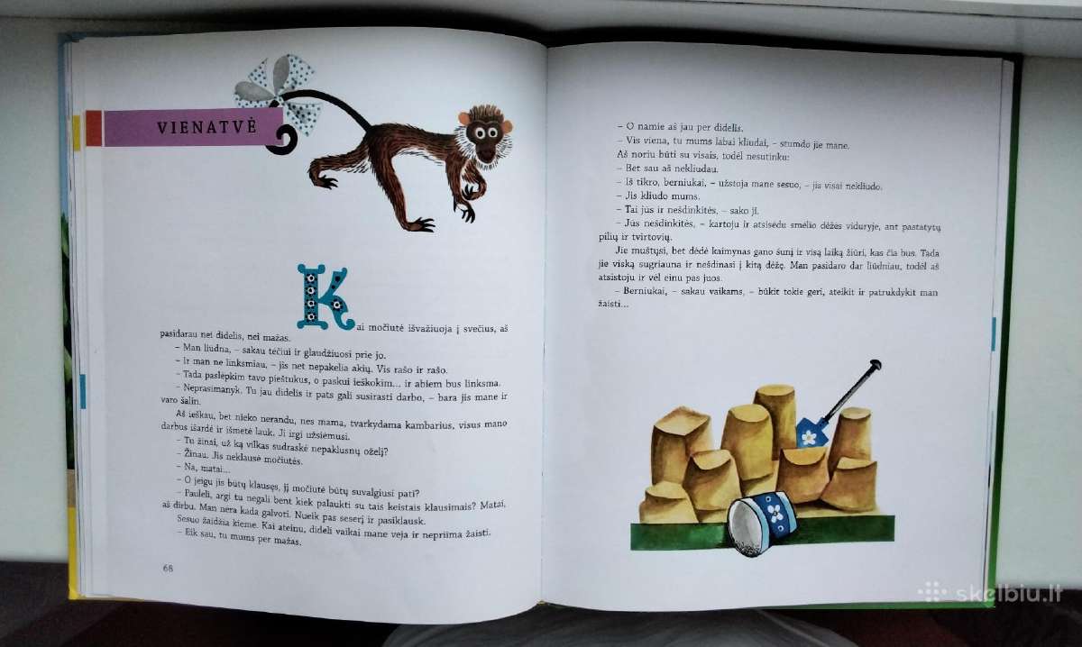 Vyt. Petkevičius. Kodėlčius. 2013 m. leid. - nuotraukos Nr. 8