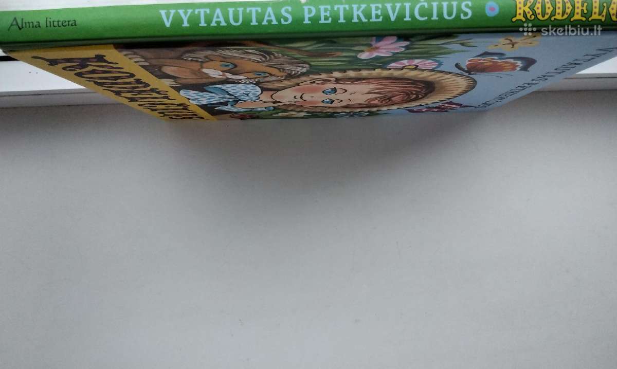 Vyt. Petkevičius. Kodėlčius. 2013 m. leid. - nuotraukos Nr. 13