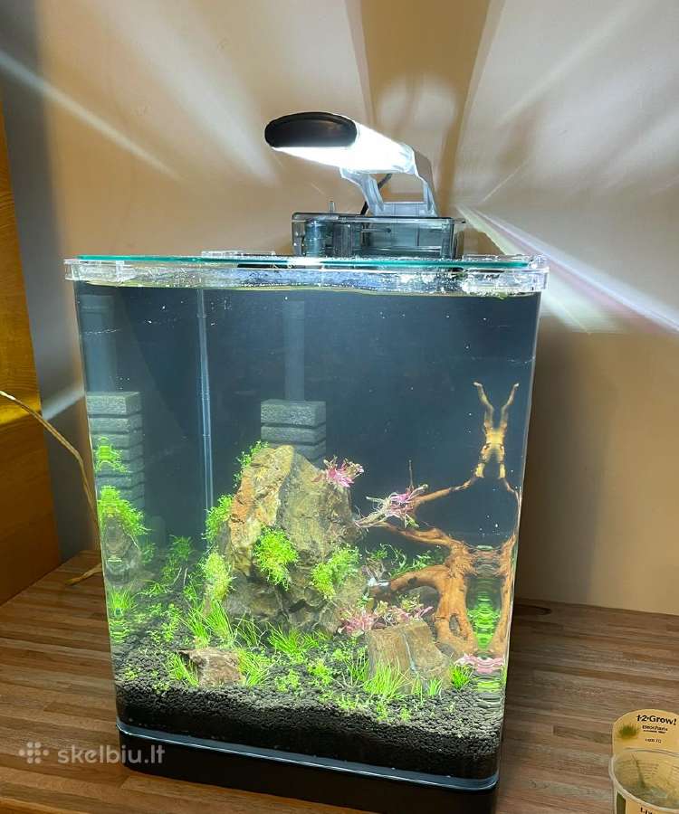 Aquel Leddy 10w - nuotraukos Nr. 3