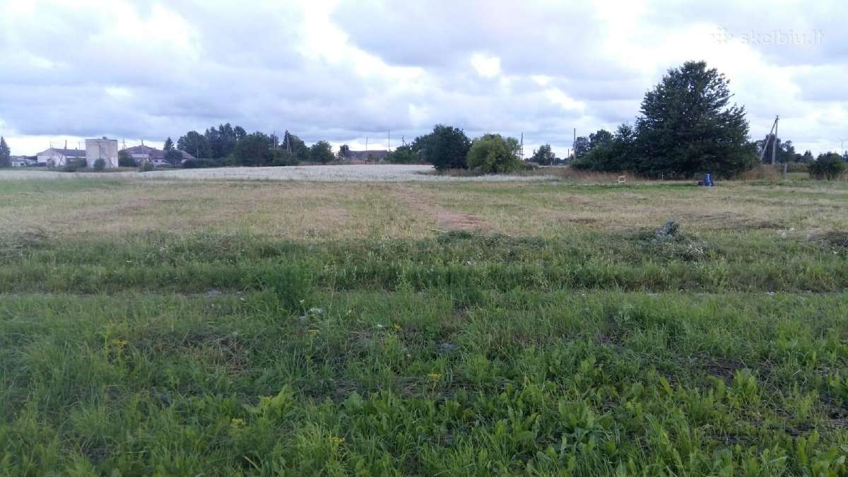 Sklypas šalia Palangos 8 min. - nuotraukos Nr. 8