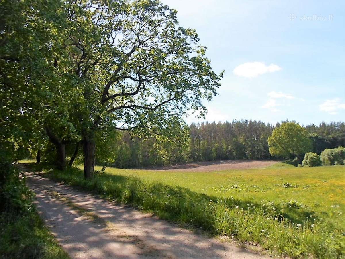 Parduodami Žemės Sklypai Jakšiškio Km., Anykščių R - nuotraukos Nr. 3