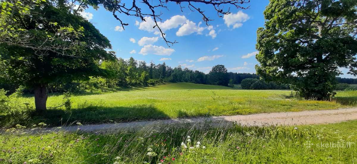 Parduodami Žemės Sklypai Jakšiškio Km., Anykščių R - nuotraukos Nr. 2