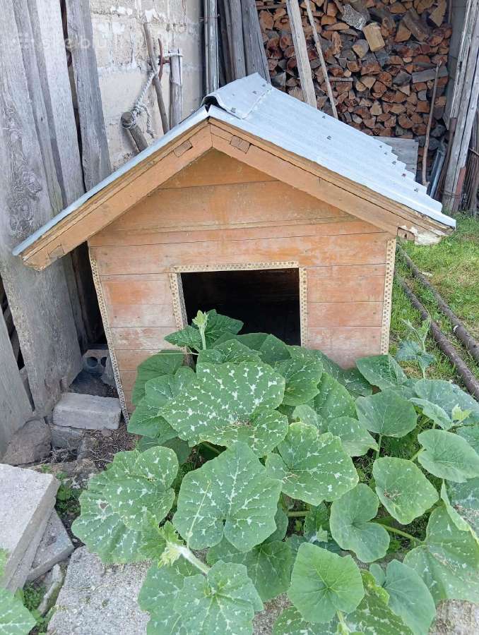Parduodama šuns būdą. Kaina 90€. - nuotraukos Nr. 2