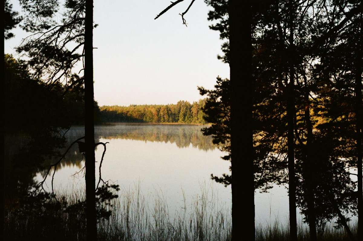 Canon Fd 50mm 1.8 - nuotraukos Nr. 6