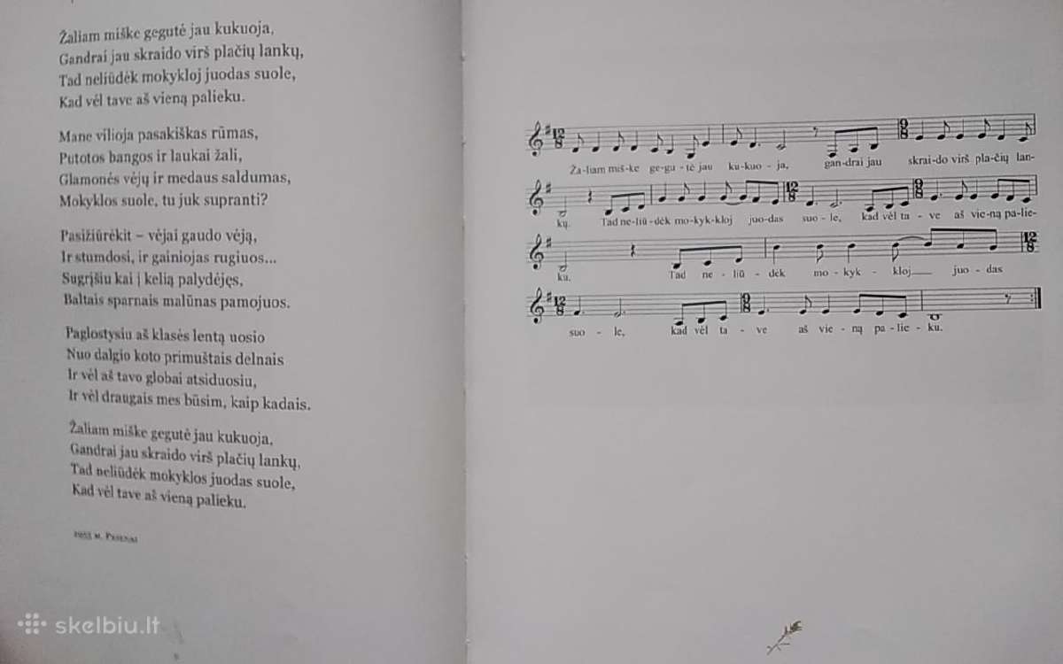 Mėlynos purienos - nuotraukos Nr. 3