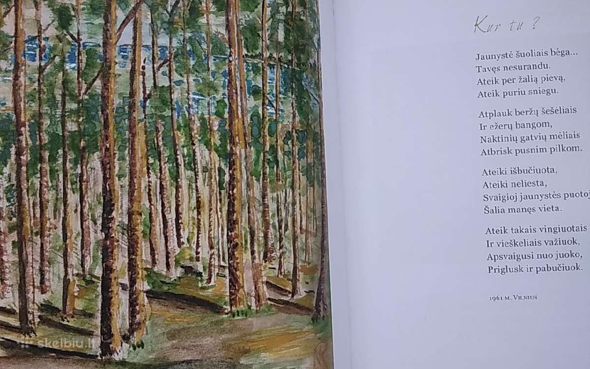 Mėlynos purienos - nuotraukos Nr. 6