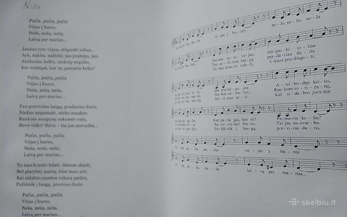 Mėlynos purienos - nuotraukos Nr. 7