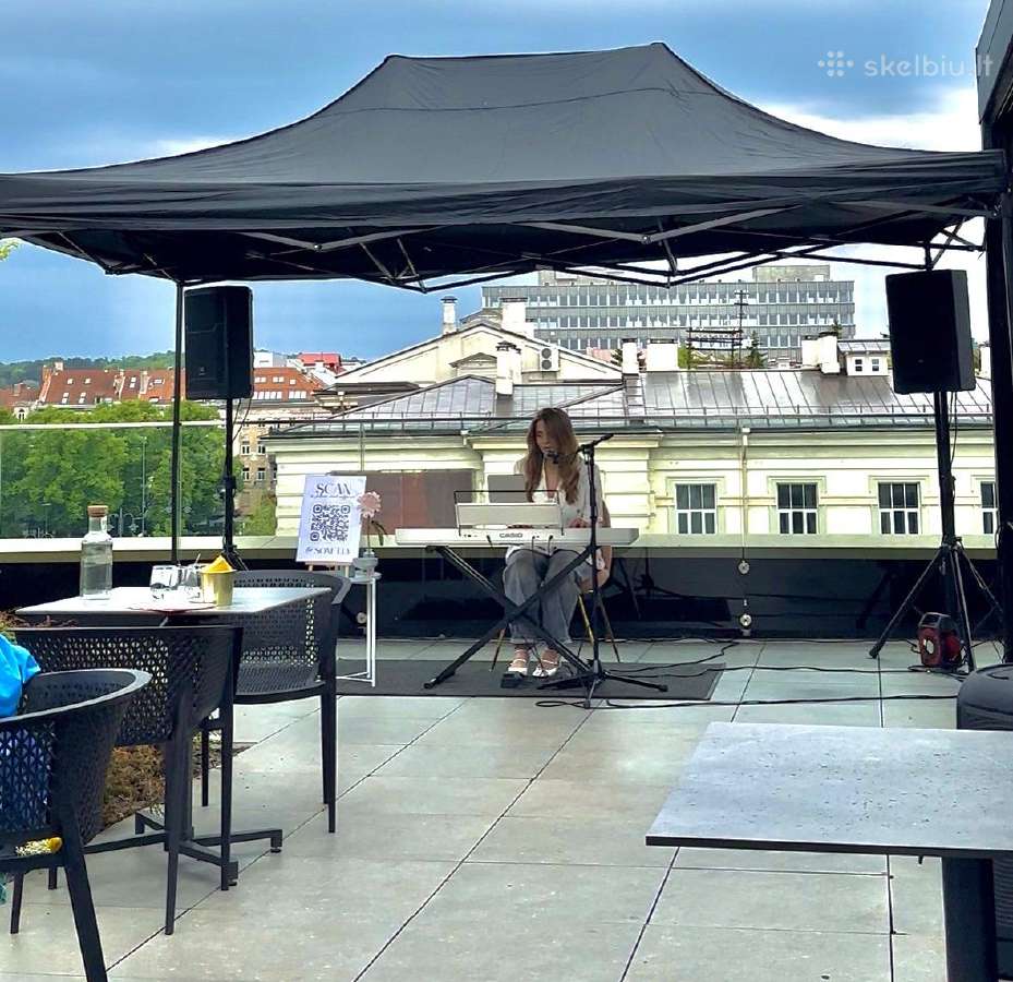 Garso ir apšvietimo nuoma, Dj vedėjų paslaugos - nuotraukos Nr. 9