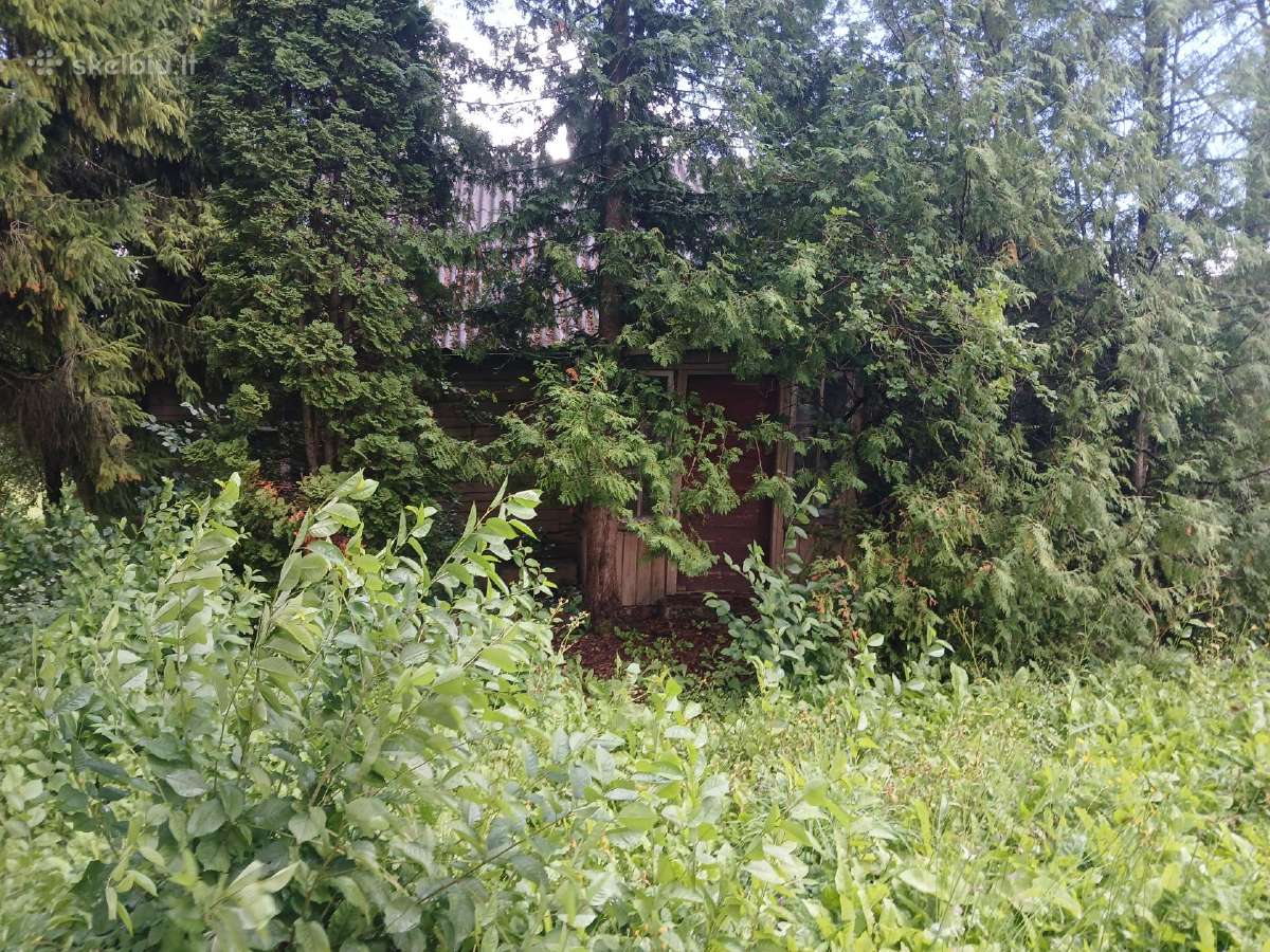 Dovanoju, bet reikia patiems nusigriauti. - nuotraukos Nr. 3