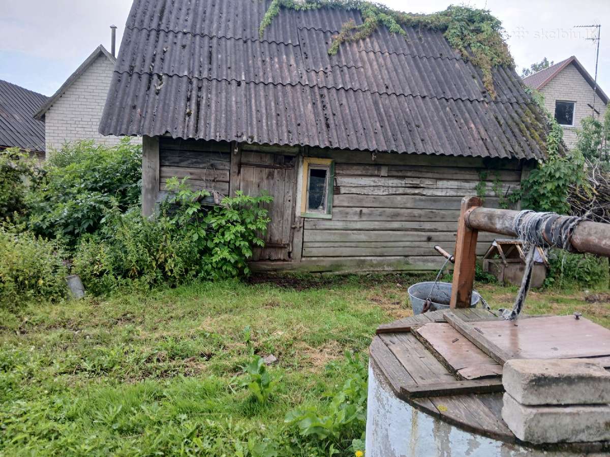 Dovanoju, bet reikia patiems nusigriauti. - nuotraukos Nr. 4