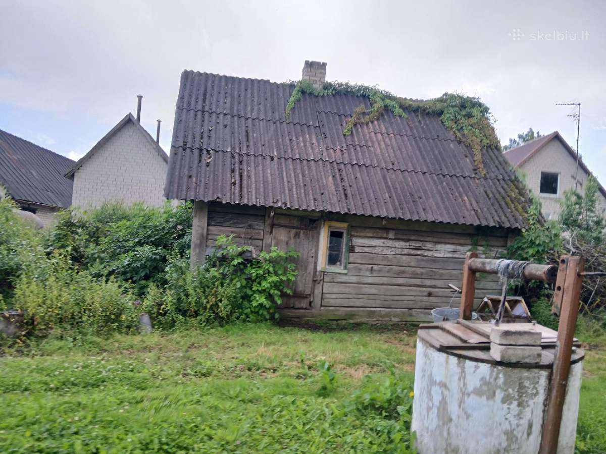 Dovanoju, bet reikia patiems nusigriauti. - nuotraukos Nr. 5