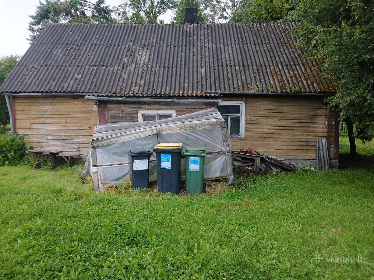 Dovanoju, bet reikia patiems nusigriauti. - nuotraukos Nr. 6