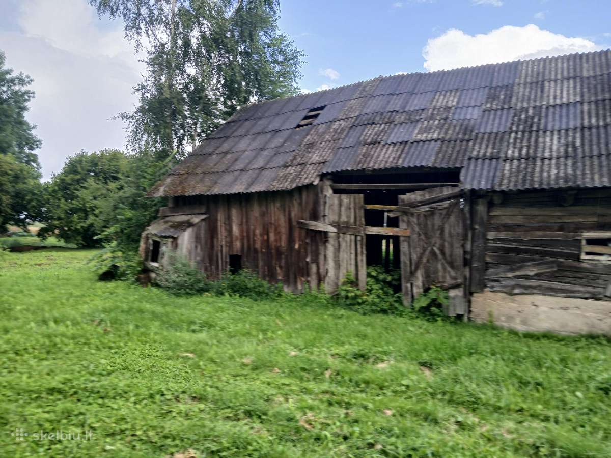 Dovanoju, bet reikia patiems nusigriauti. - nuotraukos Nr. 7