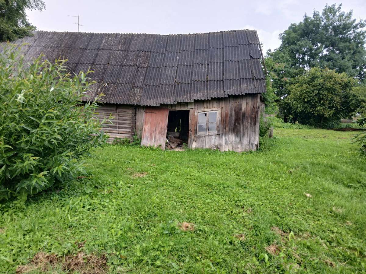 Dovanoju, bet reikia patiems nusigriauti. - nuotraukos Nr. 8