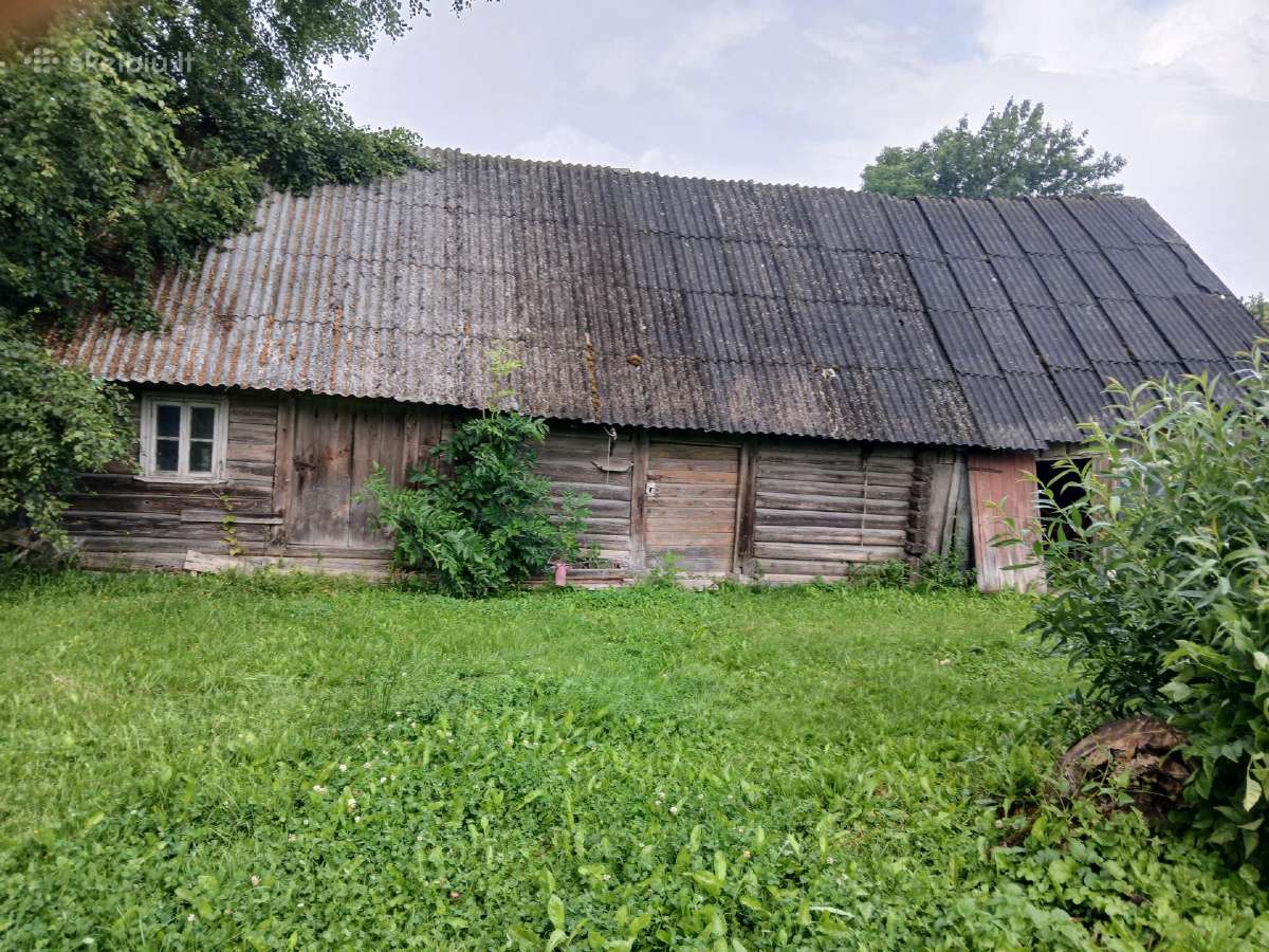 Dovanoju, bet reikia patiems nusigriauti. - nuotraukos Nr. 9