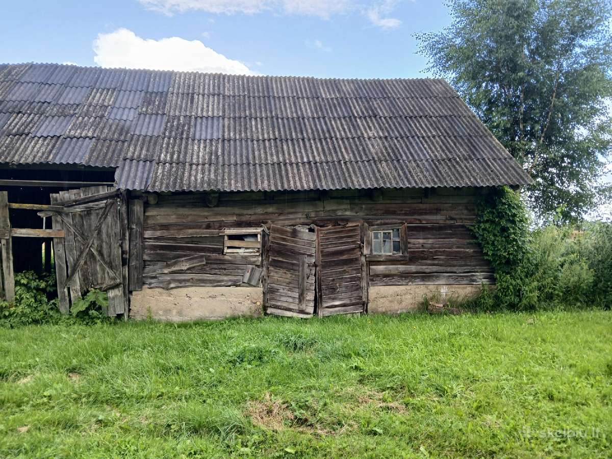 Dovanoju, bet reikia patiems nusigriauti. - nuotraukos Nr. 10