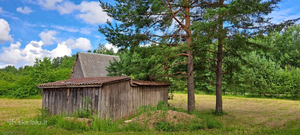 Parduodamas 11,33 a sodo sklypas SB „pušynas“ - nuotraukos Nr. 2