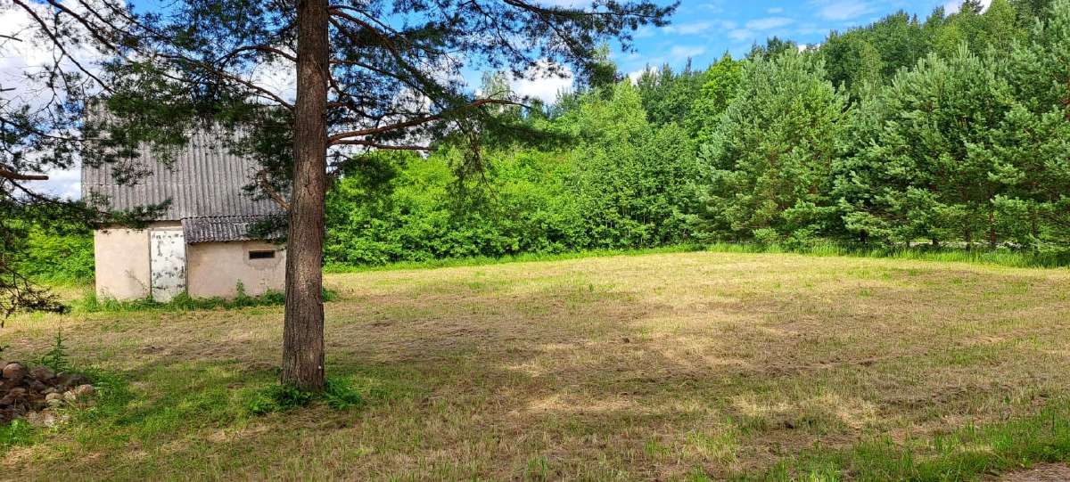 Parduodamas 11,33 a sodo sklypas SB „pušynas“ - nuotraukos Nr. 3