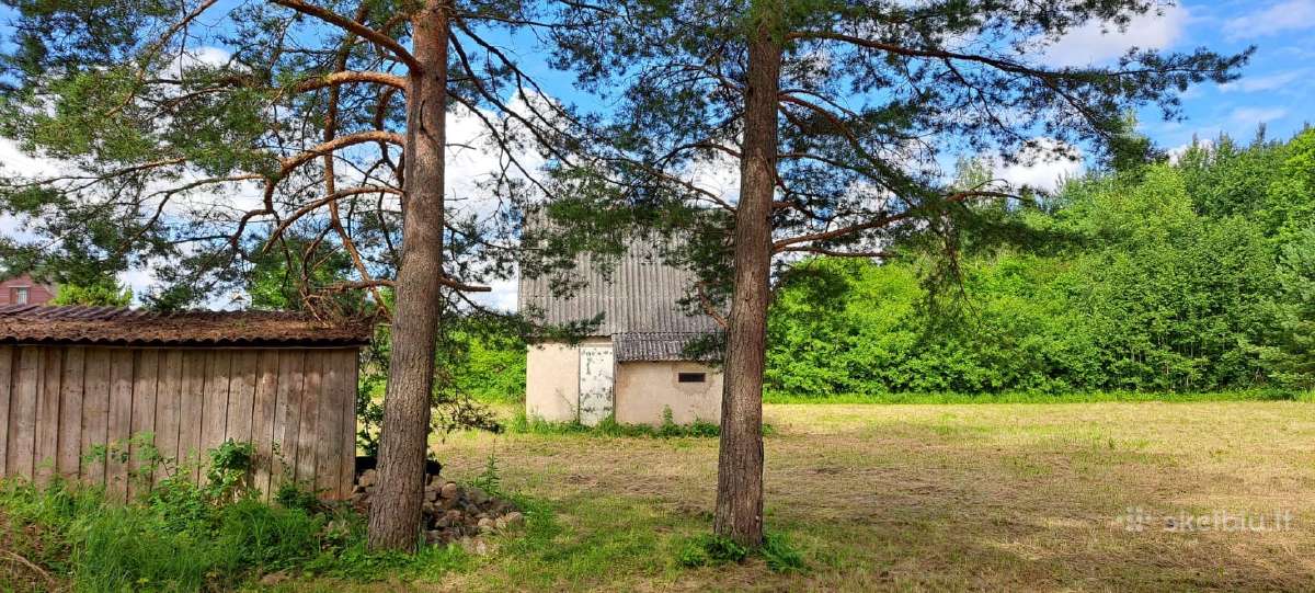 Parduodamas 11,33 a sodo sklypas SB „pušynas“ - nuotraukos Nr. 4