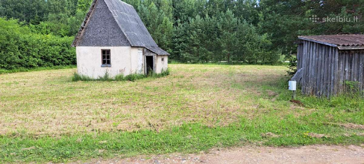 Parduodamas 11,33 a sodo sklypas SB „pušynas“ - nuotraukos Nr. 6