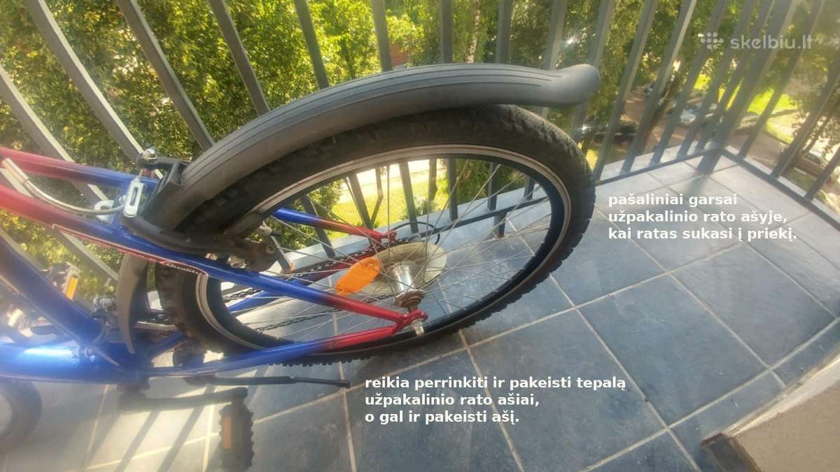 Dviratis ratai 24, rėmas 18, 7 vidinės pavaros - nuotraukos Nr. 5