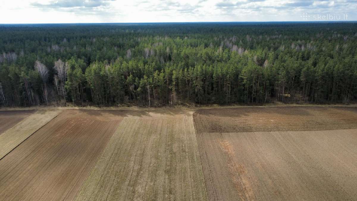 Sklypas Vilniaus r. Mažųjų Lygainių kaime - nuotraukos Nr. 4