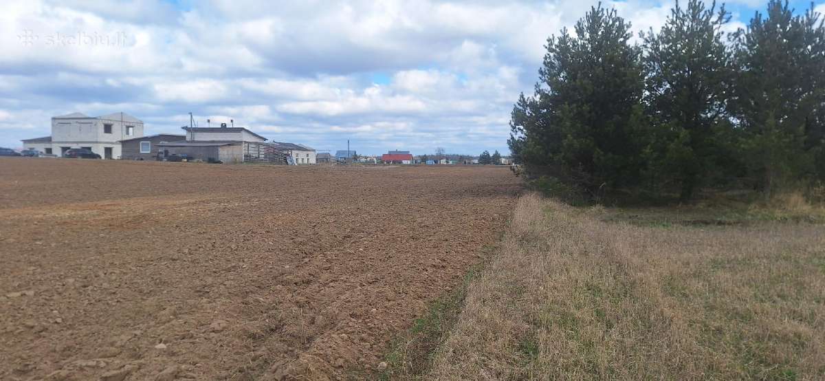 Sklypas Vilniaus r. Mažųjų Lygainių kaime - nuotraukos Nr. 13