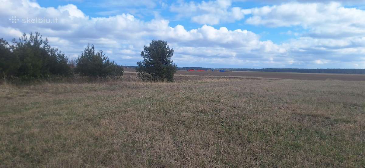 Sklypas Vilniaus r. Mažųjų Lygainių kaime - nuotraukos Nr. 14