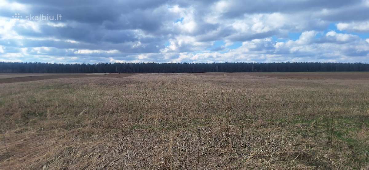 Sklypas Vilniaus r. Mažųjų Lygainių kaime - nuotraukos Nr. 15