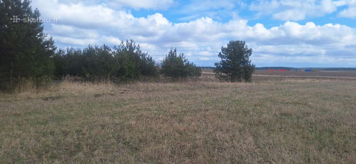 Sklypas Vilniaus r. Mažųjų Lygainių kaime - nuotraukos Nr. 16
