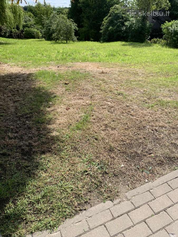 Parduodamas 8,3 a sklypas Kauno g. 56 Lazdijų m. - nuotraukos Nr. 7