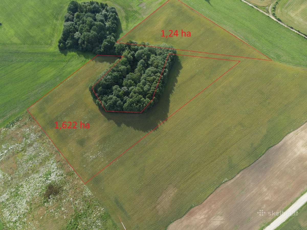 Parduodami 2 žemės ūkio paskirties sklypai 2,86 ha - nuotraukos Nr. 2