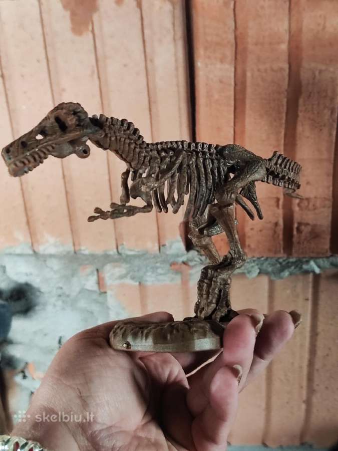 Dinozauro griaučiai dėlionė - nuotraukos Nr. 2