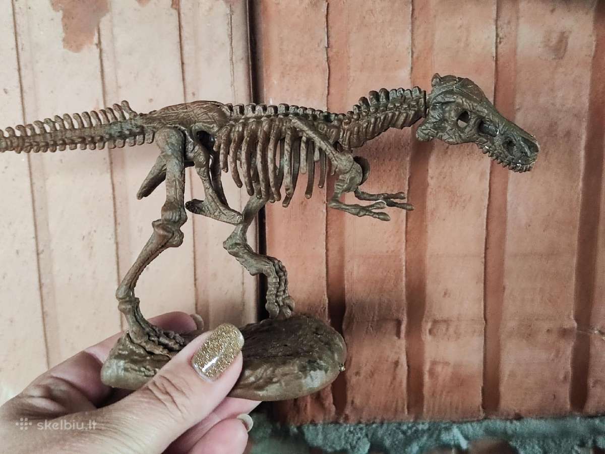 Dinozauro griaučiai dėlionė - nuotraukos Nr. 5