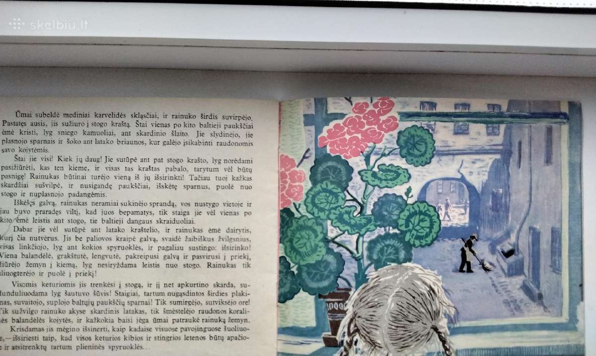 Rainukas laukinukas.1959 m. leid - nuotraukos Nr. 8
