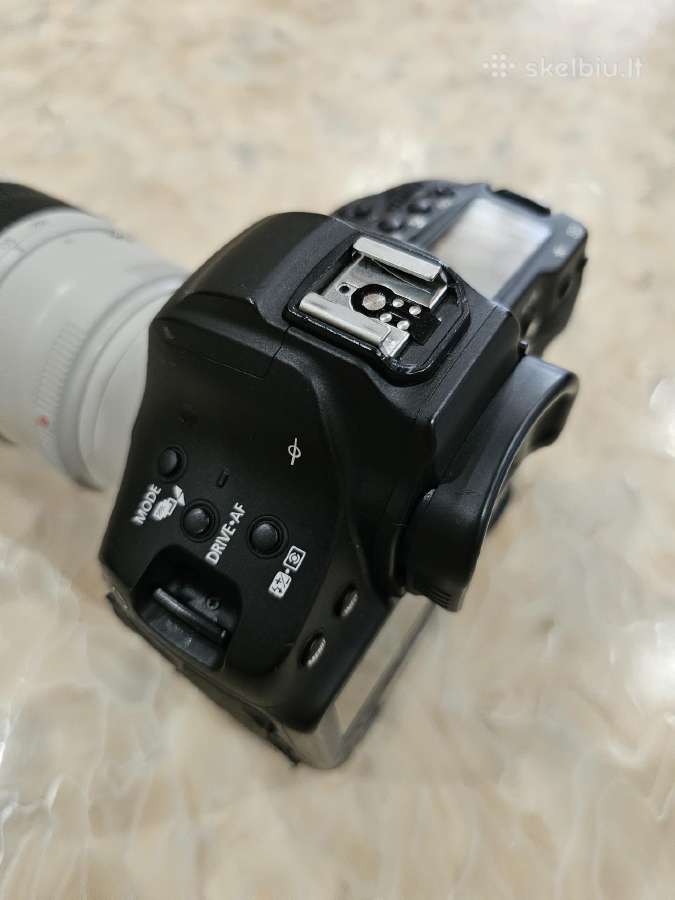 Canon EOS-1D X Mark III su linze 70-200mm 1:2.8 - nuotraukos Nr. 11