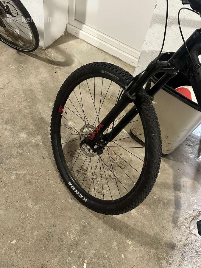 White Xc290 comp - nuotraukos Nr. 6