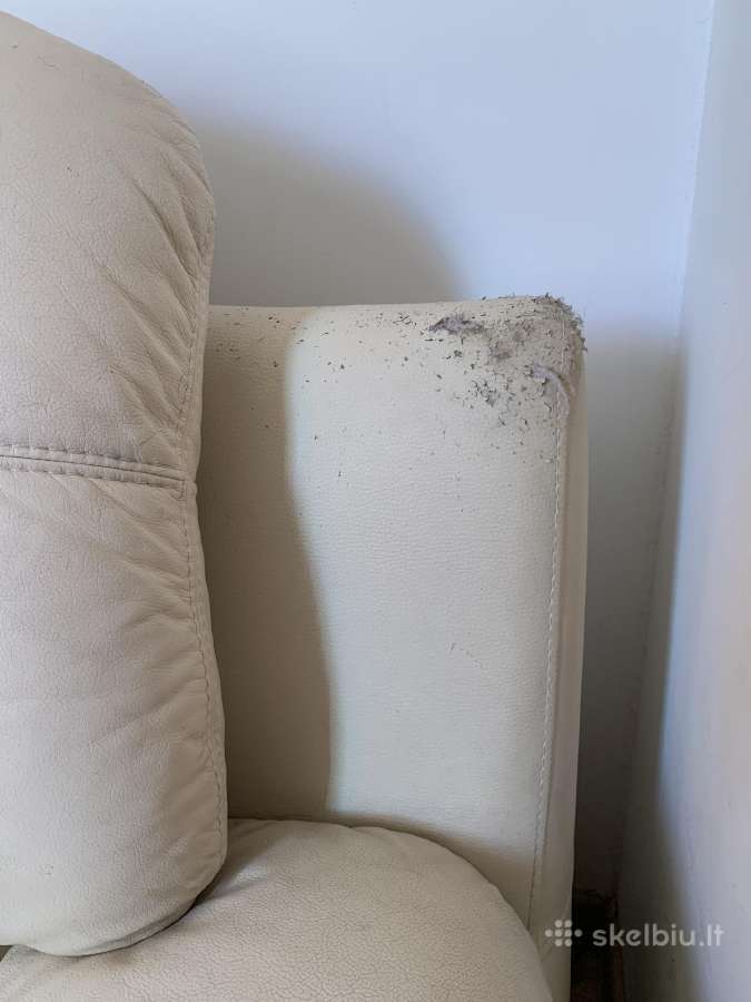 Odinė sofa - nuotraukos Nr. 3