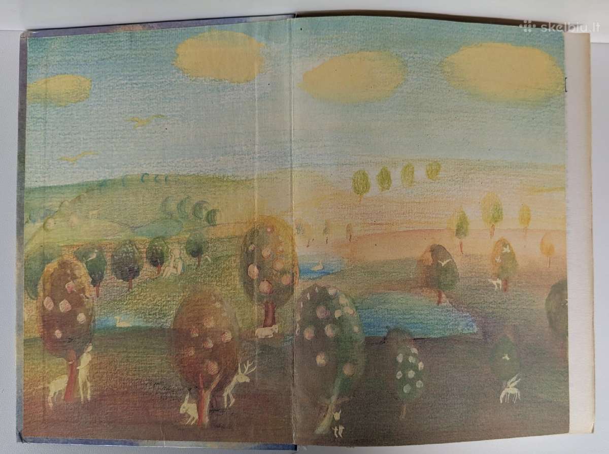 Narnijos kronikos (2 dalis) rusų k. C.s. Lewis - nuotraukos Nr. 2