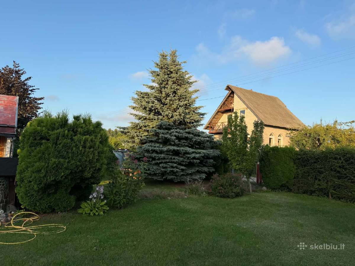Dituva,lingiu km.dubysos g. 25nr. - nuotraukos Nr. 6