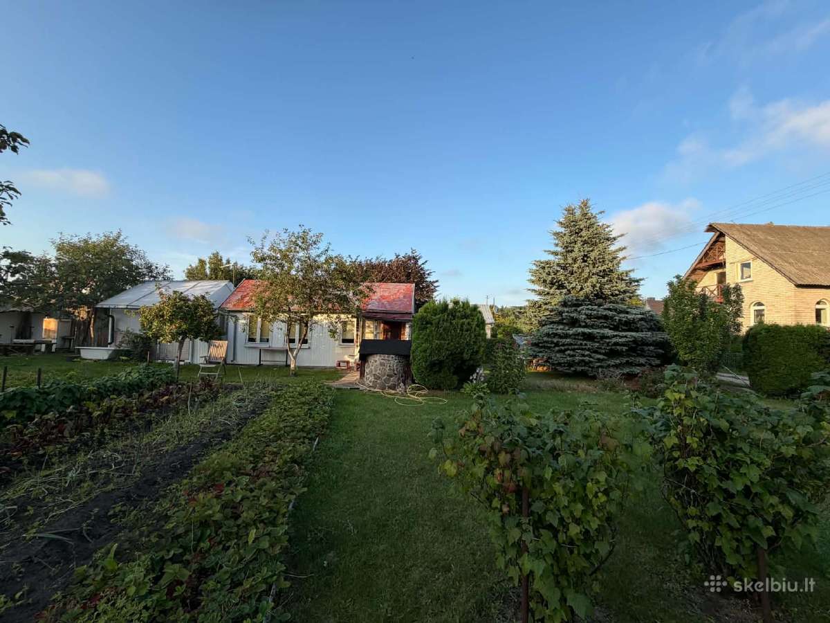 Dituva,lingiu km.dubysos g. 25nr. - nuotraukos Nr. 8