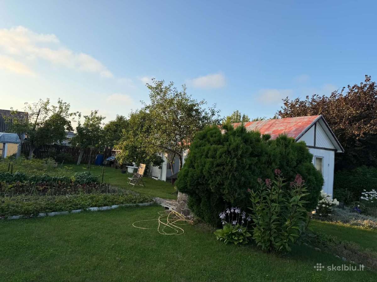 Dituva,lingiu km.dubysos g. 25nr. - nuotraukos Nr. 10