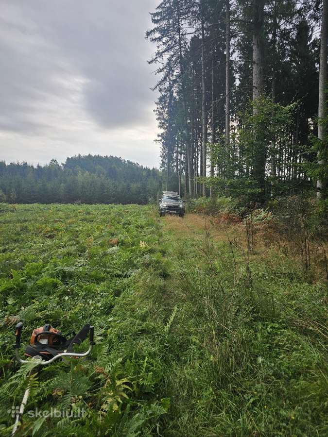 Žolės, vejos pjovimas Kaune. Trimeriu-žolepjove - nuotraukos Nr. 11