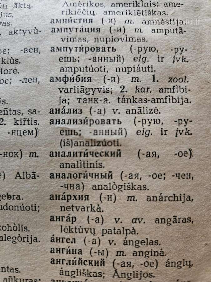 Žodynai - nuotraukos Nr. 2