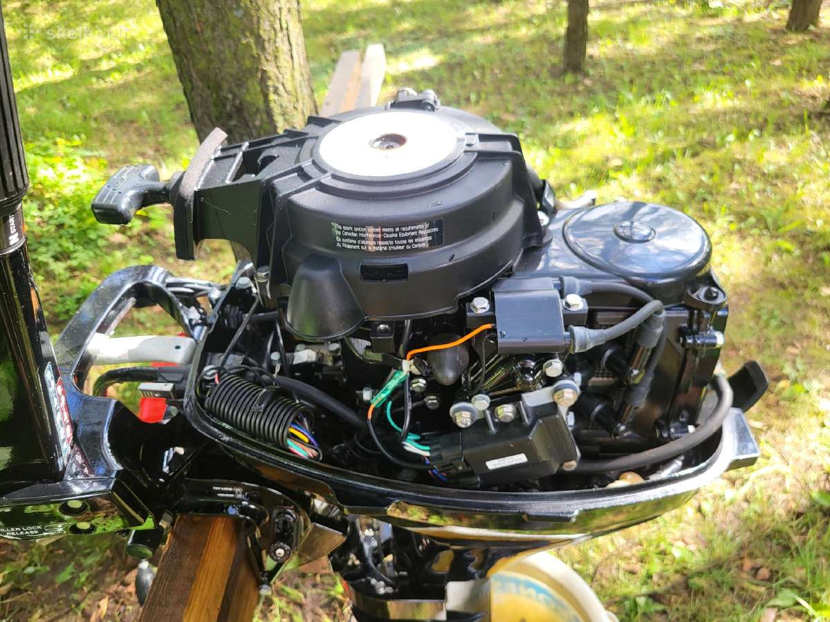 Mercury L koja 2014m.keturtaktis - nuotraukos Nr. 3