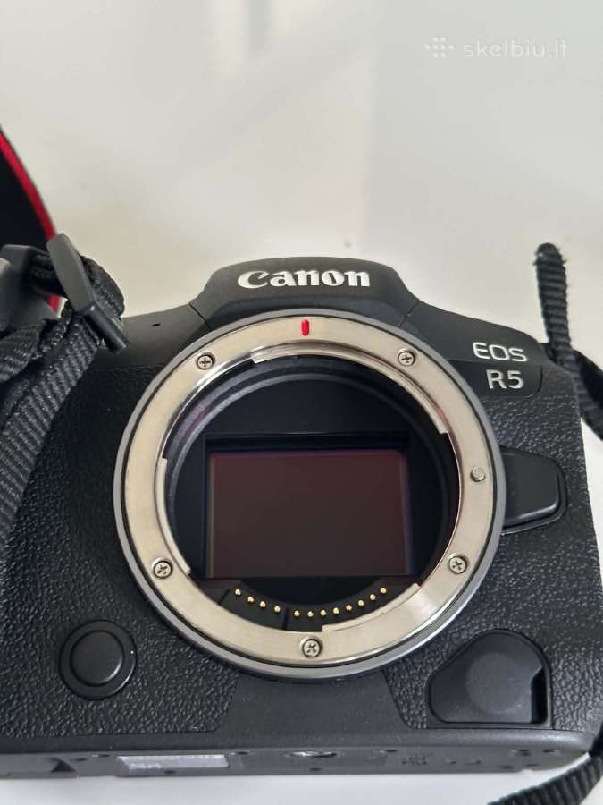Canon EOS R5 su Ef 85mm f/1.2l ir 50mm f/1.4 - nuotraukos Nr. 7