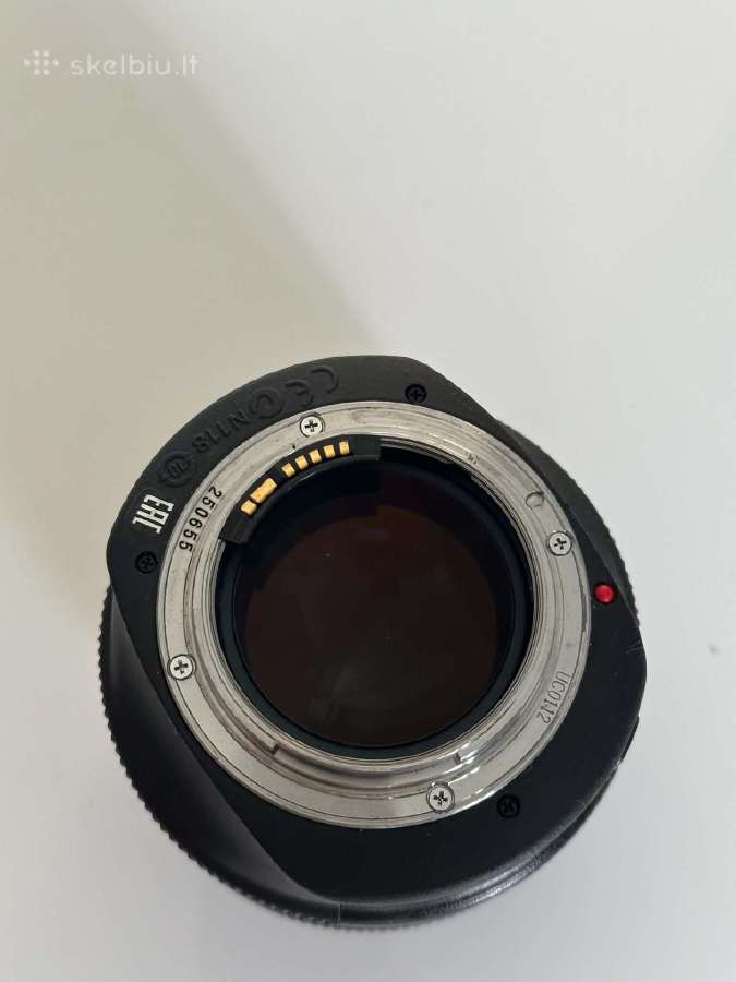 Canon EOS R5 su Ef 85mm f/1.2l ir 50mm f/1.4 - nuotraukos Nr. 11