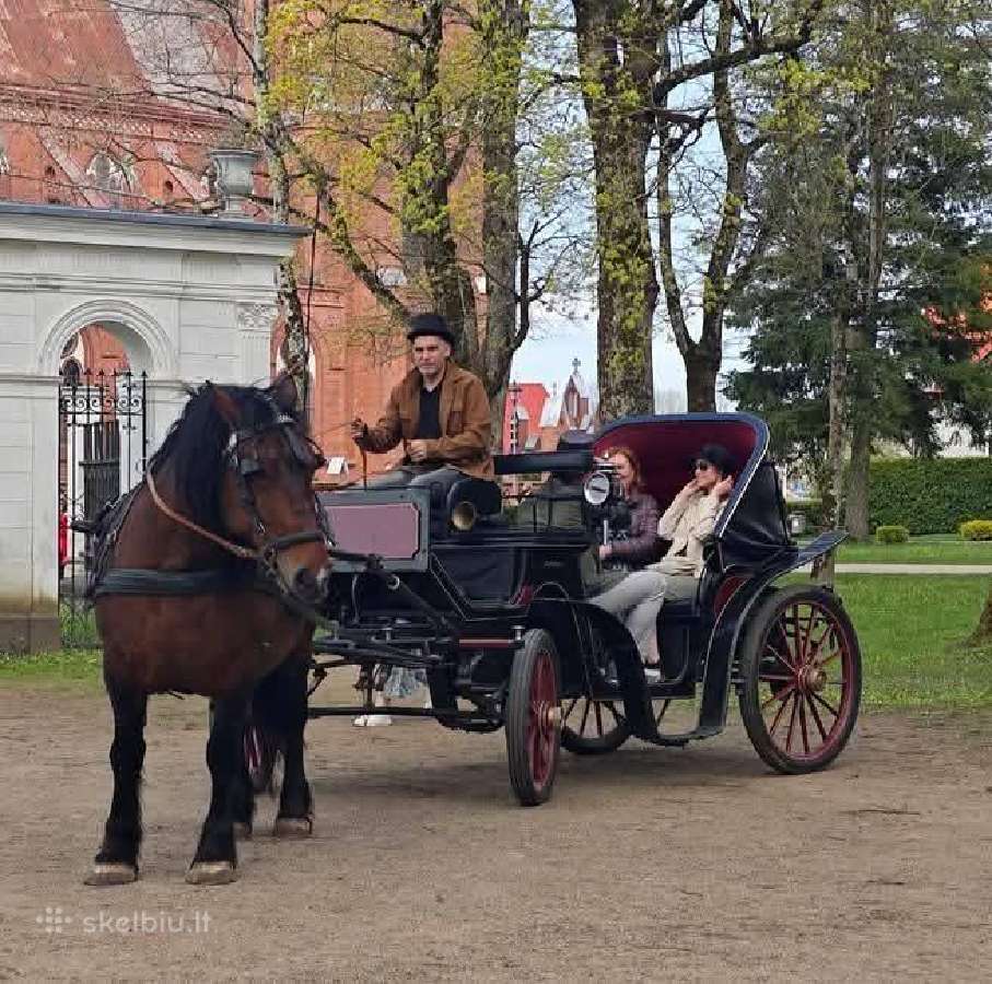 Parduodama jauki kumelė - nuotraukos Nr. 2