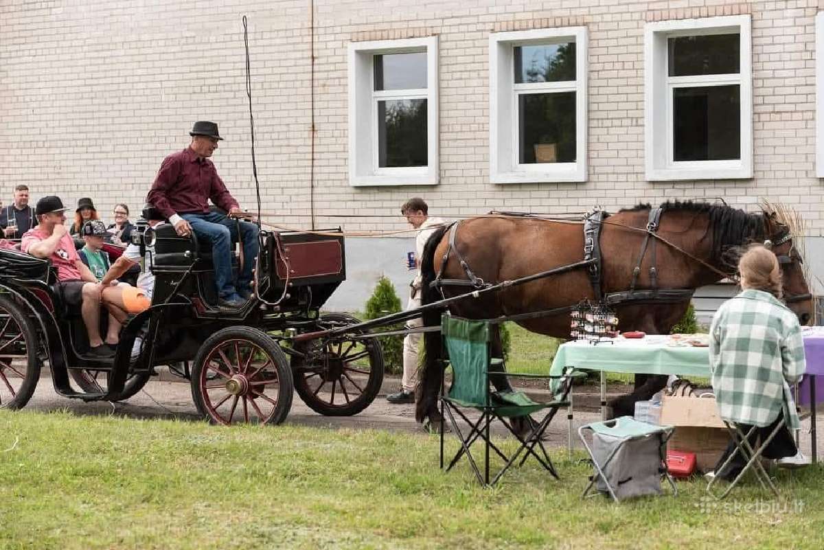 Parduodama jauki kumelė - nuotraukos Nr. 4